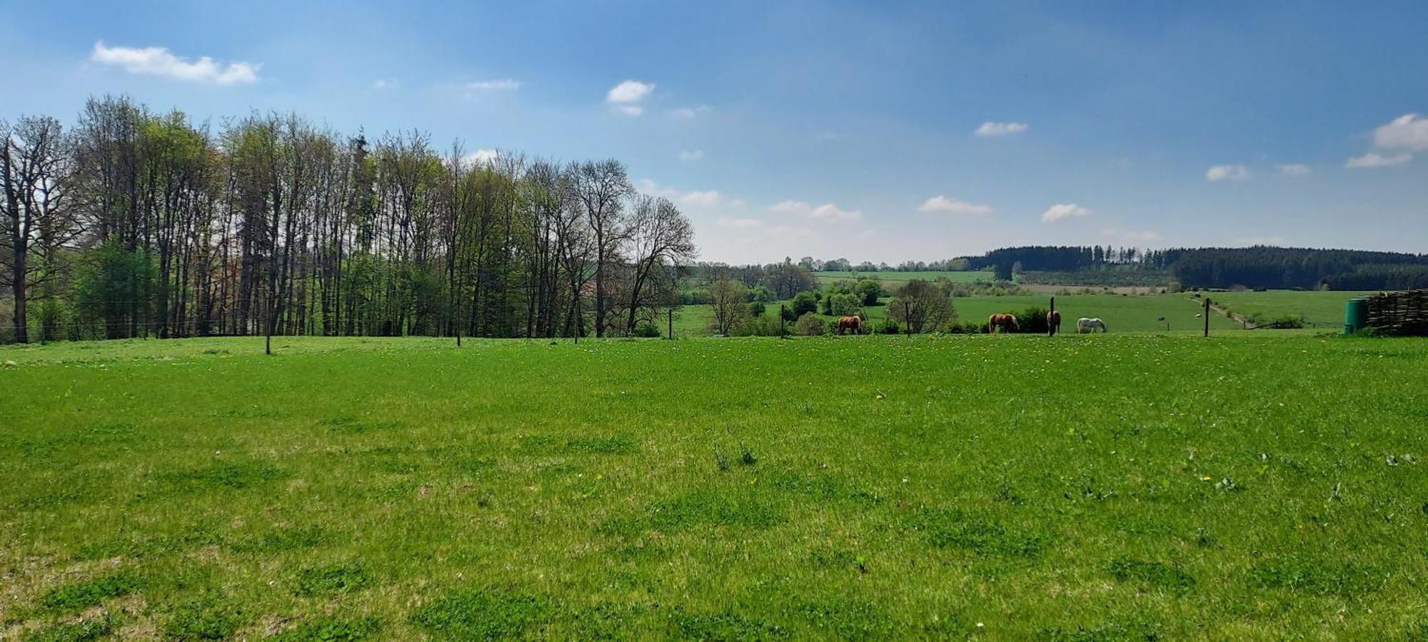 Maison Belle Vue Gouvy Esterno foto